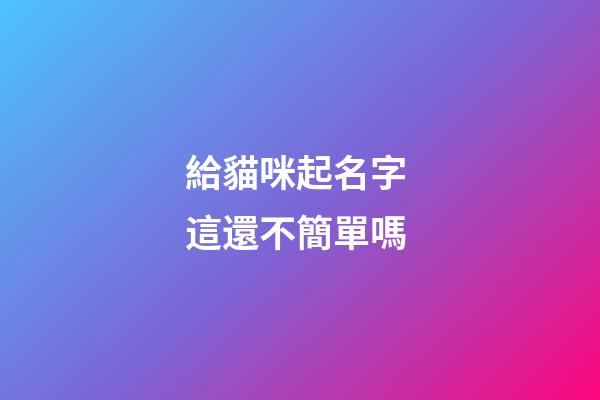 給貓咪起名字 這還不簡單嗎